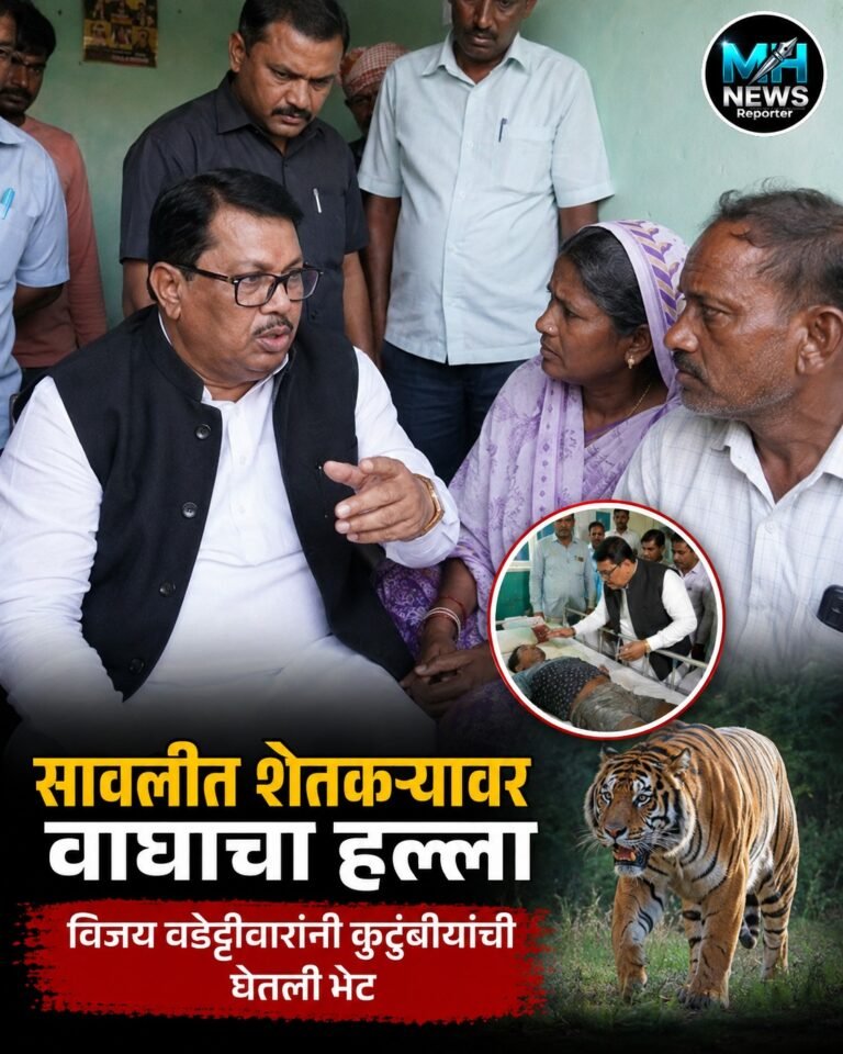 MAHARASHTRA : सावलीतील वाघ हल्ल्याची वडेट्टीवारांनी घेतली दखल