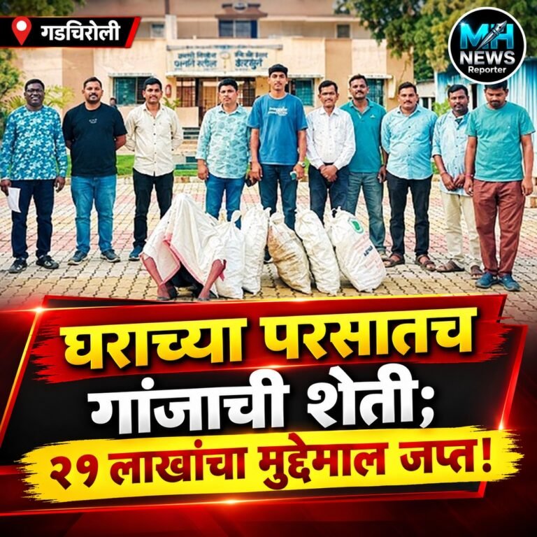 GADCHIROLI : नांगपूर गावात गांजाची शेती; १,७९० झाडे पोलिसांच्या ताब्यात