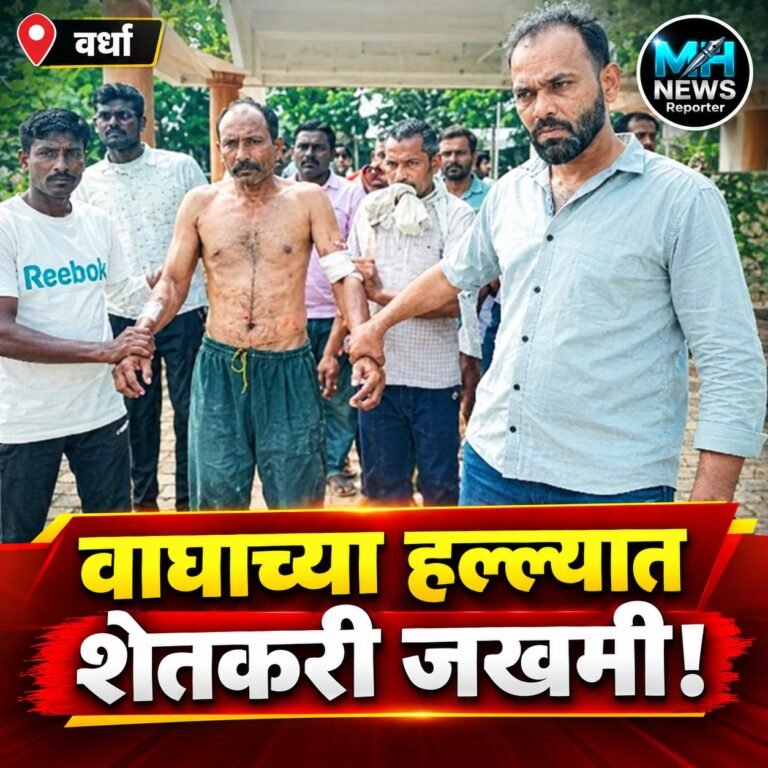 WARDHA : दबा धरून बसलेल्या वाघाचा शेतकऱ्यावर हल्ला; परिसरात भीती..