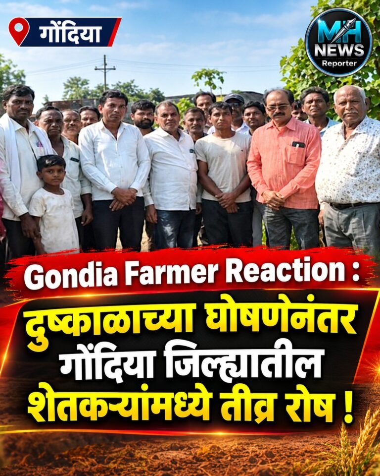 GONDIA : मावा-तुडतुड्याने धान शेती संकटात; शेतकऱ्यांचा शासनावर रोष !