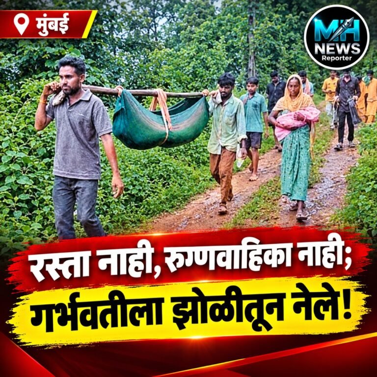 MAHARASHTRA : नंदुरबारात गर्भवतीचा 7 किमी झोळी प्रवास;