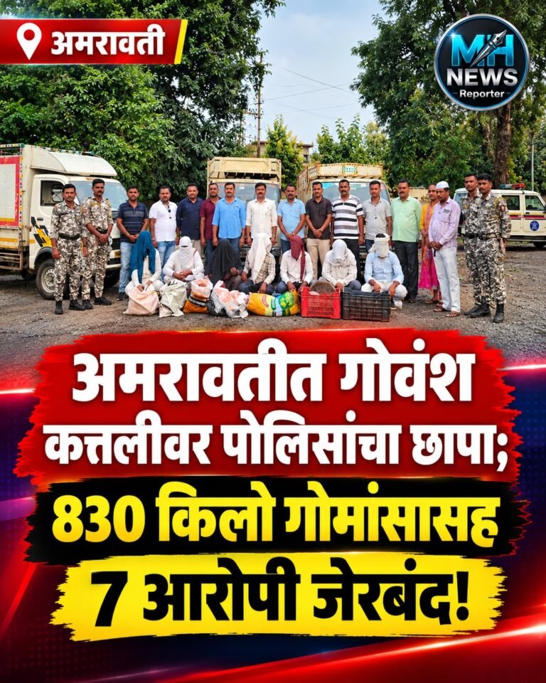 AMRAVATI : गोवंश कत्तलीचा पर्दाफाश; 13.77 लाखांचा मुद्देमाल जप्त!