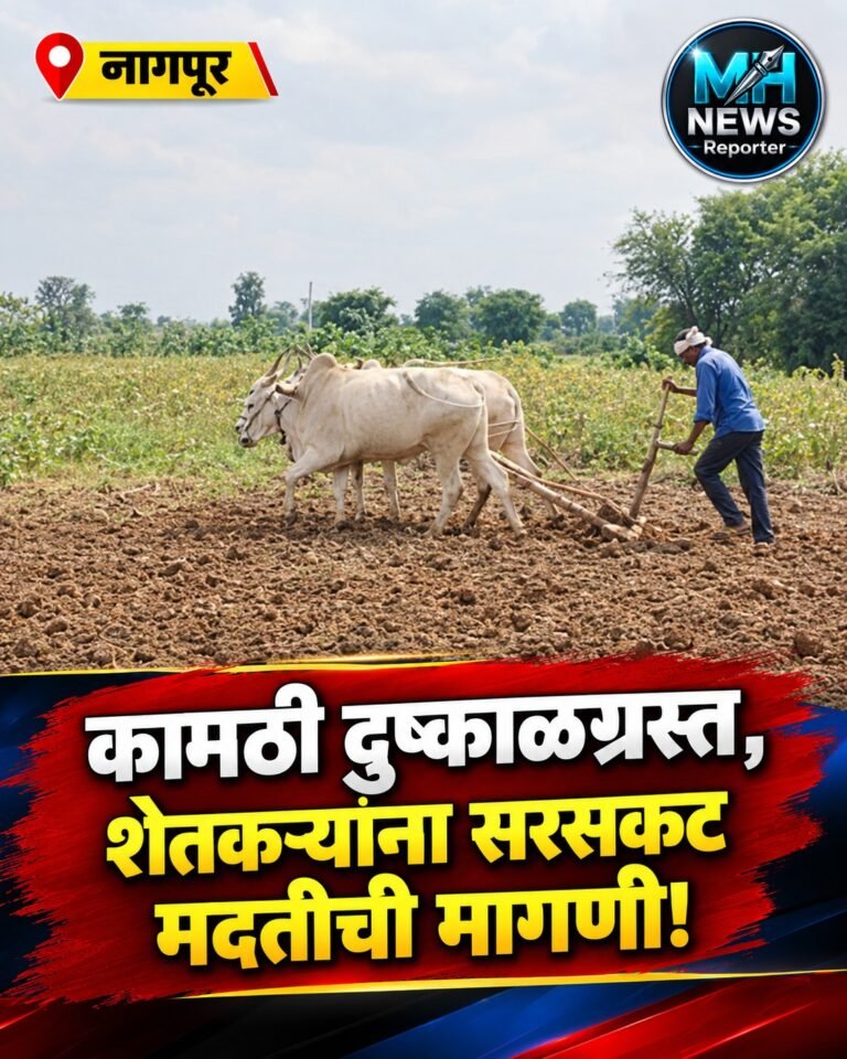 NAGPUR : कामठी दुष्काळग्रस्त, शेतकऱ्यांना सरसकट मदतीची मागणी!