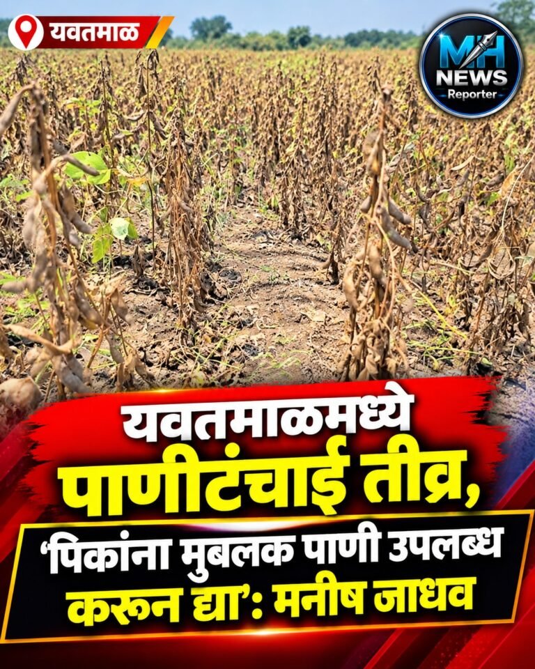 yavatmal : यवतमाळमध्ये पाणीटंचाईचा फटका; पिकांना पाणी देण्याची मागणी