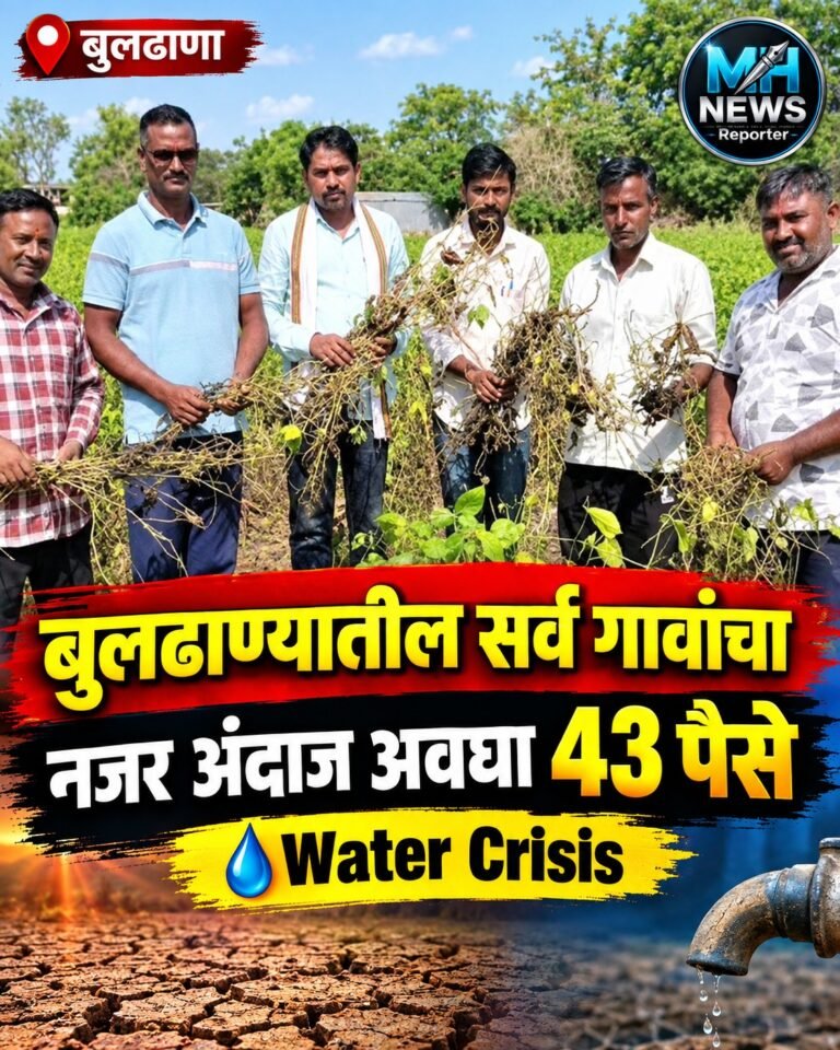 BULDHANA | पावसाचा खंड आणि वाढतं तापमान; शेतकऱ्यांची चिंता वाढली !