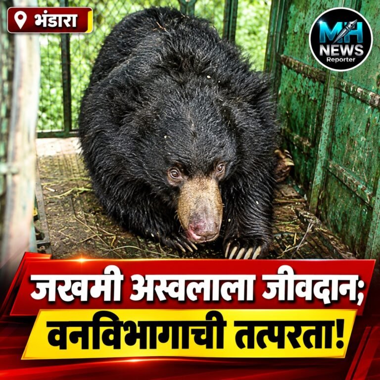 BHANDARA : वन्यजीव संरक्षण की नागरिकांची सुरक्षा? विदर्भातील संघर्ष पुन्हा