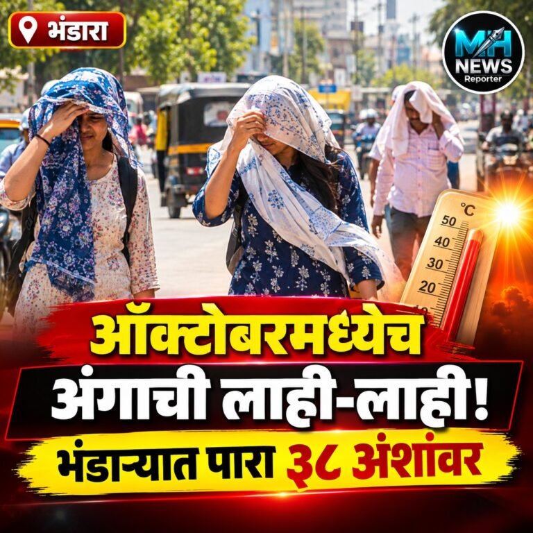BHANDARA : भंडाऱ्यात वाढत्या तापमानाचा तडाखा; ३८ अंशांवर पोहोचला ..