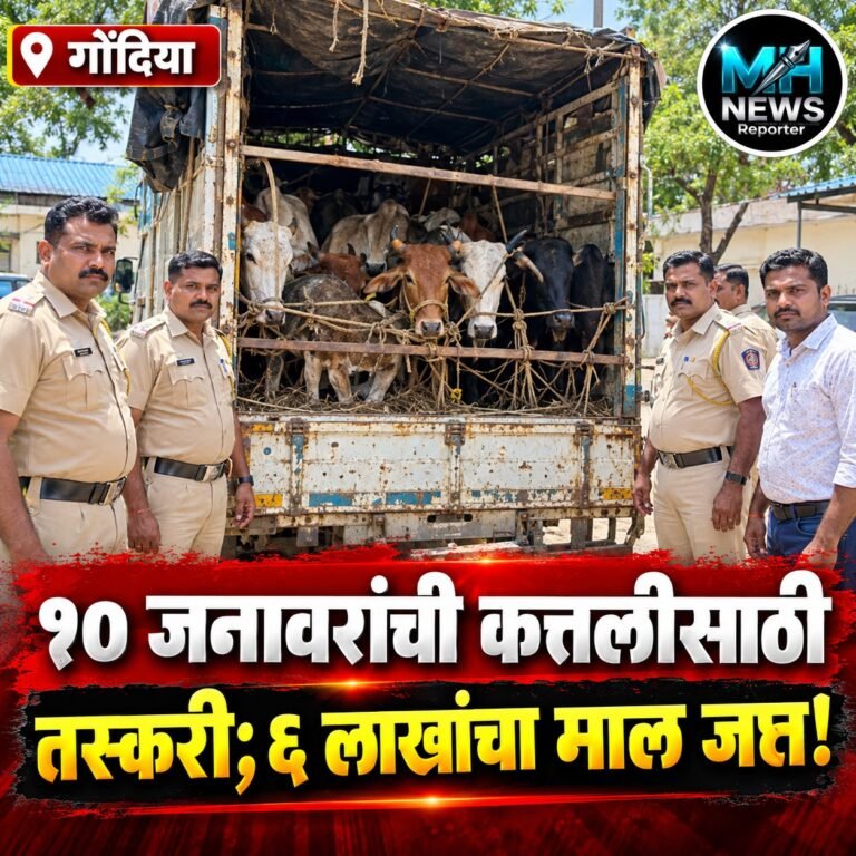 GONDIA : कत्तलीसाठी जनावरांची वाहतूक; पोलिसांची धडक कारवाई