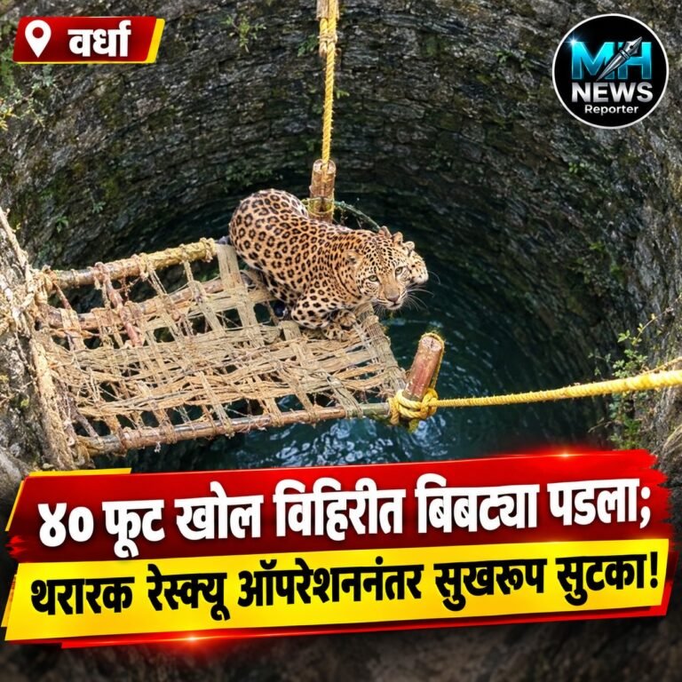 WARDHA : थरारक रेस्क्यू ऑपरेशन! ४० फूट विहिरीतून बिबट्याची सुटका..