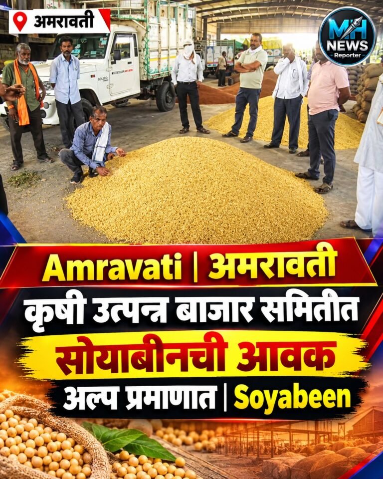 AMRAVATI : पावसाच्या खंडाने सोयाबीन संकटात; शेतकऱ्यांचा खर्चही निघेना !