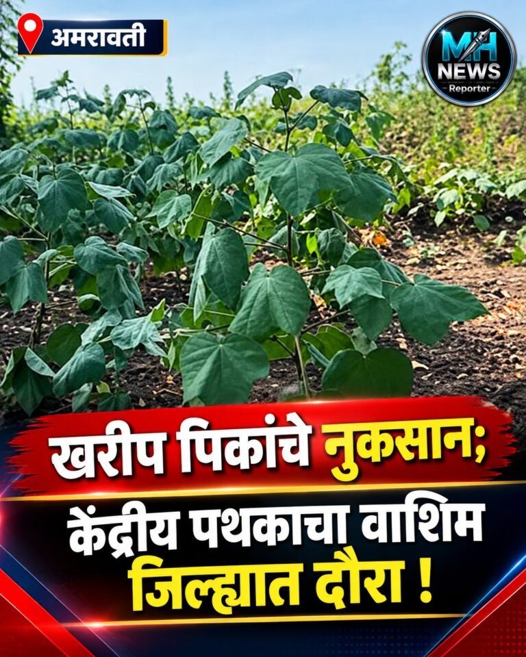 AMRAVATI : खरीप पिकांचे नुकसान; केंद्रीय पथकाचा वाशिम जिल्ह्यात दौरा !